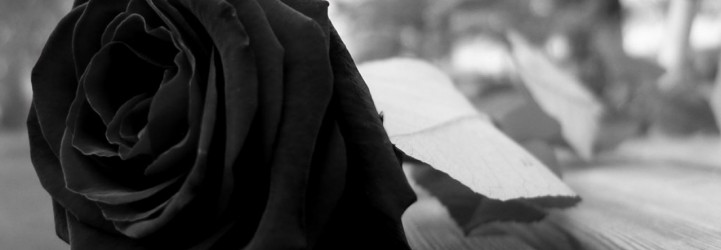 rose-noire-deuil