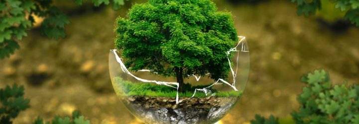 ecologie-digitale-francecopywriter